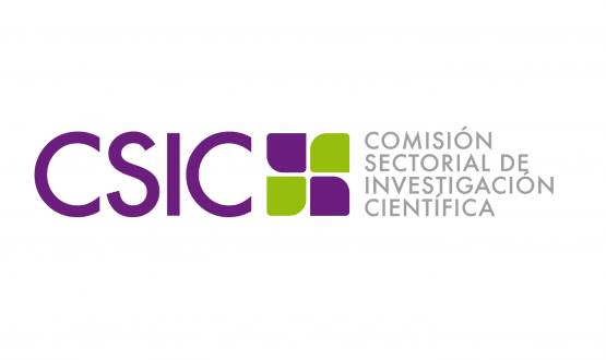 Logo de la CSIC