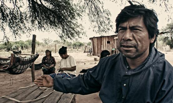 Viaje a los pueblos fumigados - Pino Solanas