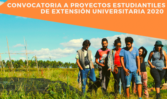 afiche fondos concursables