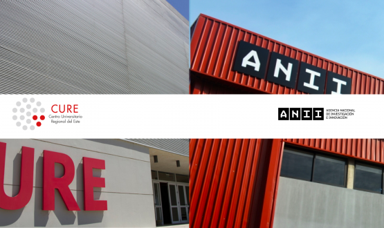 Edificio Cure anii