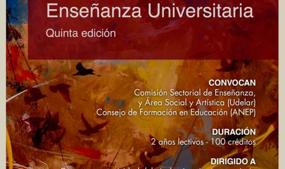 Afiche difusión Maestría en Enseñanza Universitaria