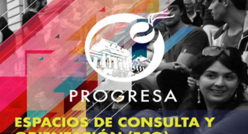 Espacios de Orientación y Consulta, PROGRESA - UDELAR