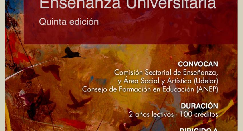 Afiche difusión Maestría en Enseñanza Universitaria