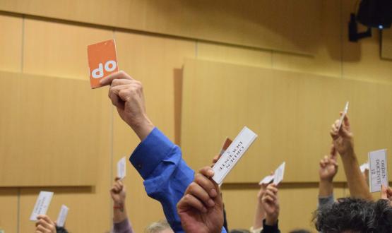 Foto. Manos alzadas votando.