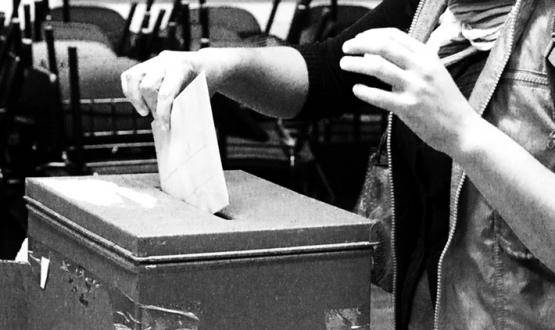 Elecciones Udelar: consulta de padrones