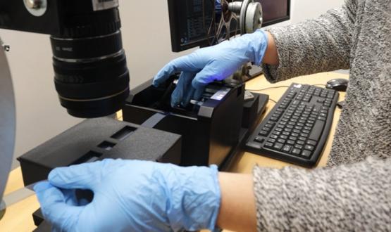 Foto: digitalización de película en scaner. Una persona con guantes de latex celeste sostiene la cinta en el artefato por los extremos. 