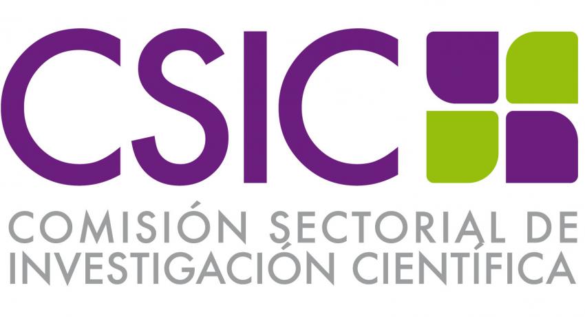 logo de la CSIC