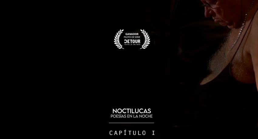 afiche de noctilucas