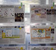 Foto de la muestra de mapeos. Se ve una cartelera transparente con cuatro mapas. 